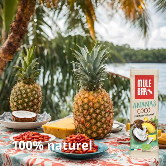 MULEBAR – Barre Énergétique Bio & Vegan 40g Ananas Coco & Baies de Goji